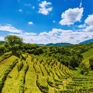 valpolicella e verona